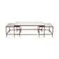 Charlie Glass Nesting Coffee Table